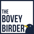 The Bovey Birder